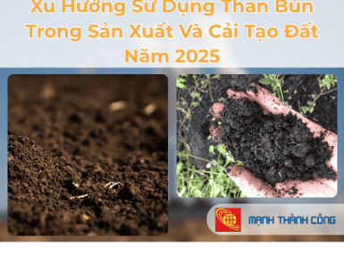 Xu Hướng Sử Dụng Than B&ugrave;n Trong Sản Xuất V&agrave; Cải Tạo Đất Năm 2025