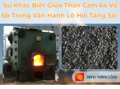 Sự Kh&aacute;c Biệt Giữa Than C&aacute;m 6a V&agrave; 6b Trong Vận H&agrave;nh L&ograve; Hơi Tầng S&ocirc;i Tại Đồng Nai