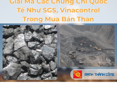 Giải Mã Các Chứng Chỉ Quốc Tế Như SGS, Vinacontrol Trong Mua Bán Than