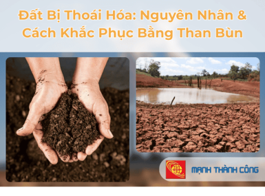 Đất Bị Tho&aacute;i H&oacute;a: Nguy&ecirc;n Nh&acirc;n & C&aacute;ch Khắc Phục Bằng Than B&ugrave;n